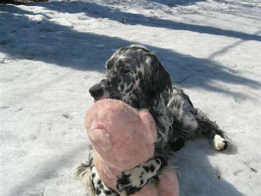 Click for large image