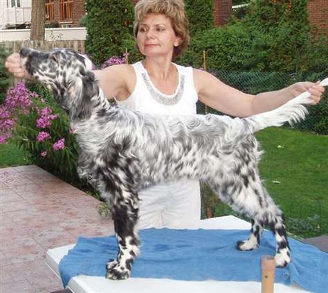 Click for large image