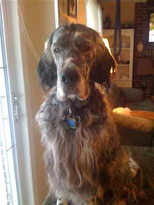 Click for large image