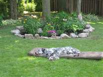 Click for large image