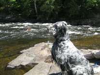 Click for large image