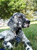 Click for large image