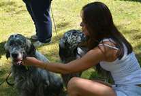 Click for large image