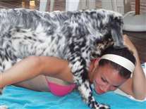 Click for large image