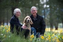 Click for large image