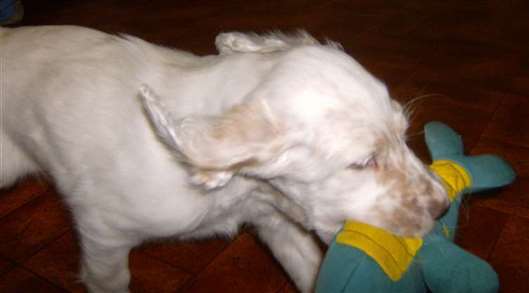 Click for large image