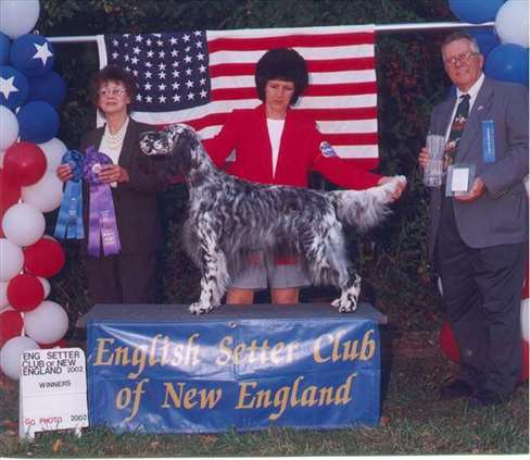 Click for large image