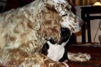 Click for large image