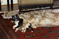 Click for large image