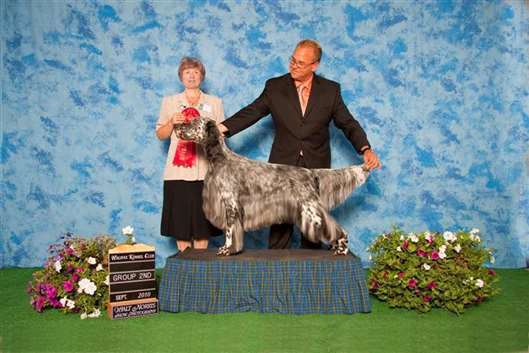 Click for large image