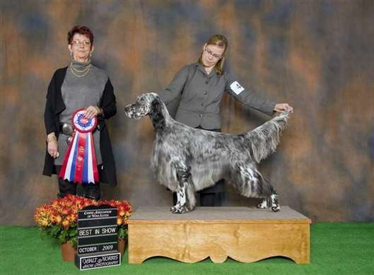 Click for large image