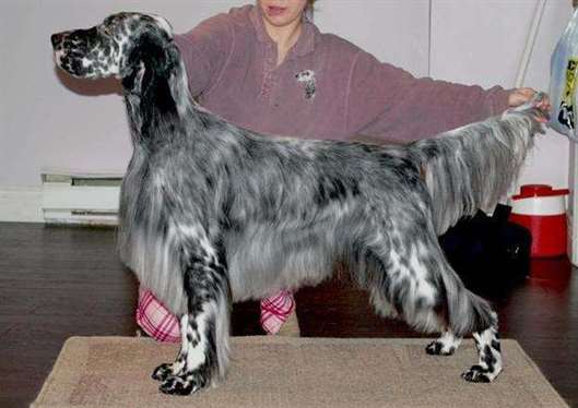 Click for large image