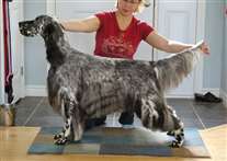 Click for large image