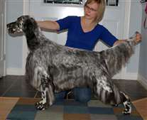 Click for large image