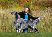 Click for large image