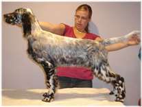 Click for large image