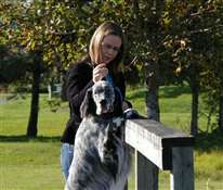 Click for large image