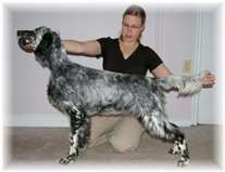 Click for large image