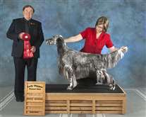 Click for large image