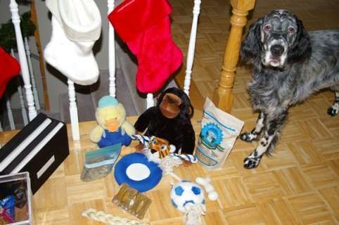 Click for large image