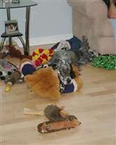 Click for large image