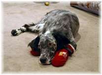 Click for large image