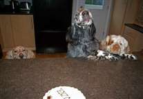 Click for large image