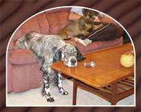 Click for large image