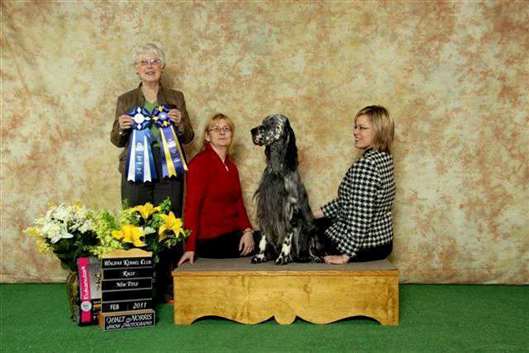 Click for large image