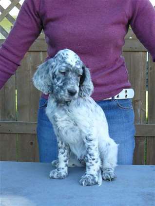 Click for large image