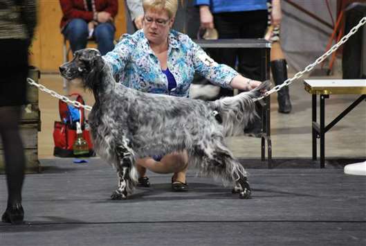 Click for large image