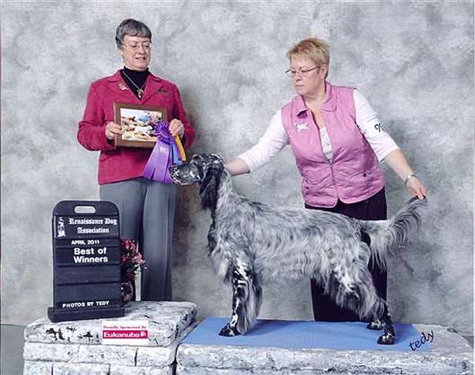 Click for large image