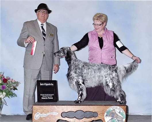 Click for large image