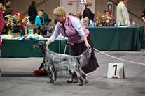 Click for large image