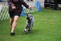 Click for large image