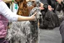 Click for large image