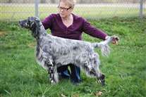 Click for large image