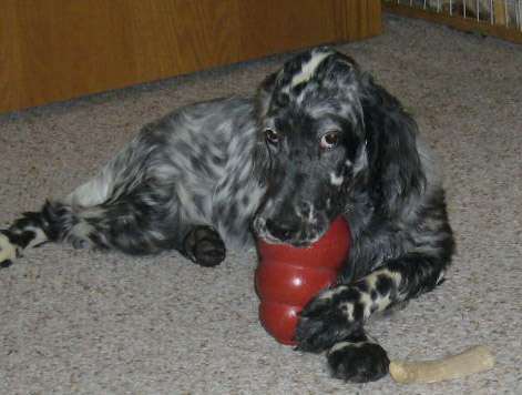 Click for large image