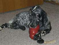 Click for large image