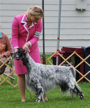 Click for large image