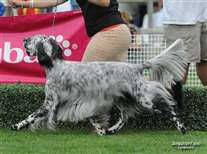 Click for large image