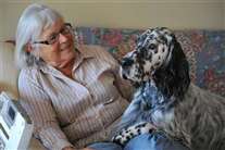 Click for large image