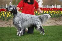 Click for large image