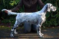 Click for large image