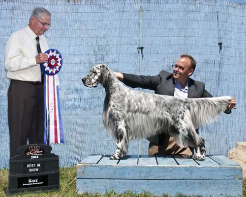 Click for large image