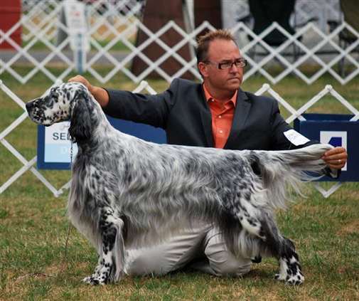 Click for large image