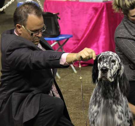 Click for large image