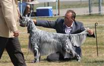 Click for large image