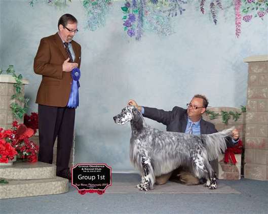 Click for large image