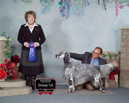 Click for large image